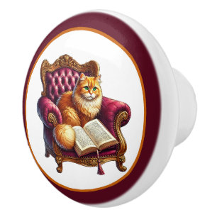 Cute cat book nook library reading lovers ceramic knob