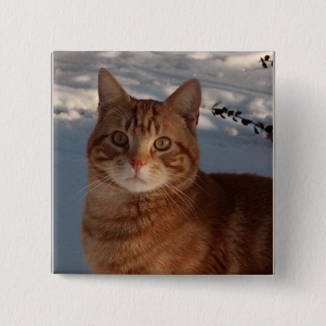 Cute Cat Button (Front)