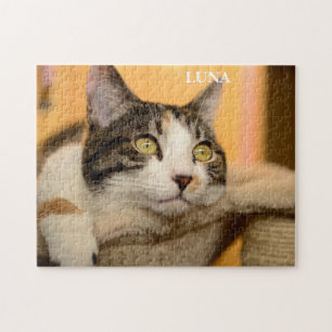 Cute Cat Calico Jigsaw Puzzle
