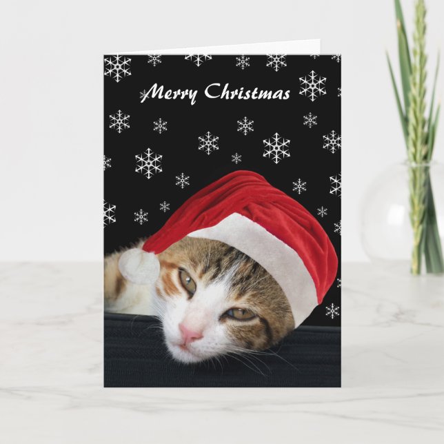 Cute Cat Christmas Cards (Front)