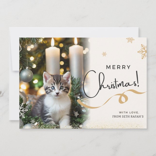 Cute cat christmas holiday card  (Front)