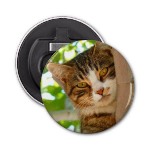 Cute Cat Climbing a Tree Bottle Opener