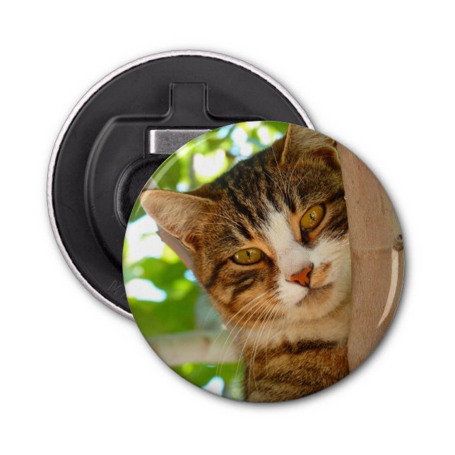 Cute Cat Climbing a Tree Bottle Opener (Front)