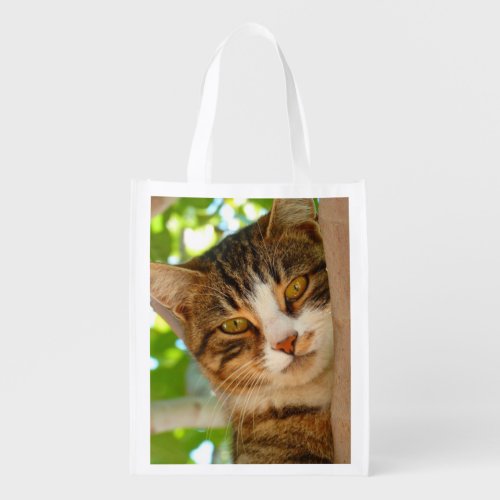 Cute Cat Climbing a Tree Grocery Bag