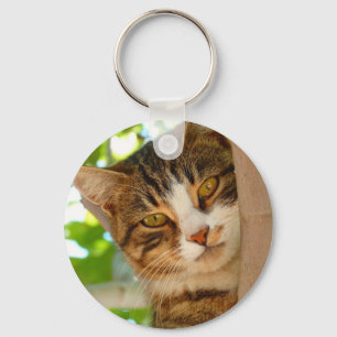 Cute Cat Climbing a Tree Keychain
