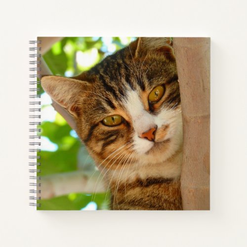 Cute Cat Climbing a Tree Notebook