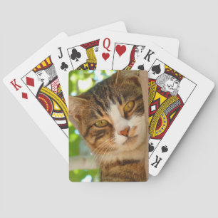Cute Cat Climbing a Tree Poker Cards