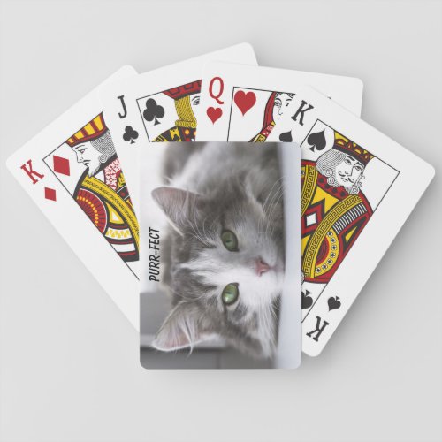 Cute Cat Close_up Picture Poker Cards