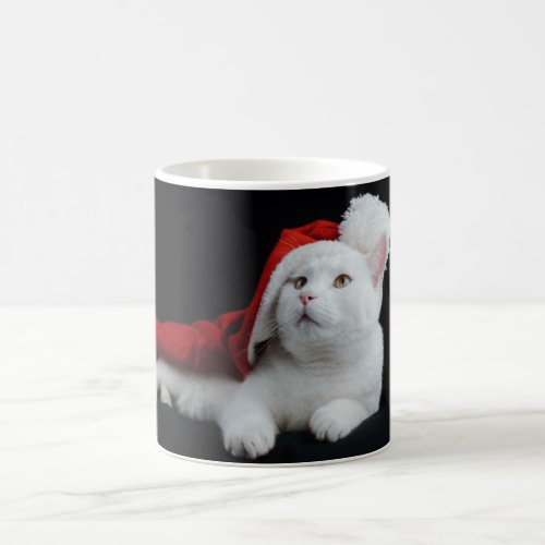 Cute Cat Coffee Mag Coffee Mug