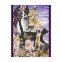 Cute Cat Collage 4
