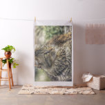 Cute Cat Collection 10 Fabric