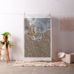 Cute Cat Collection 1 Fabric