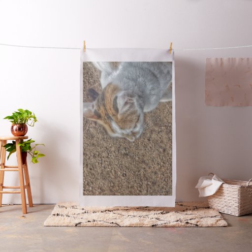 Cute Cat Collection 1 Fabric