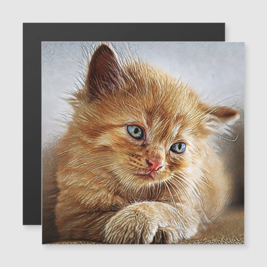 Cute Cat Collection 6 (Front/Back)