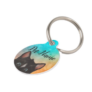 Cute Cat Colors Pet ID Tag