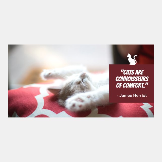 Cute Cat Connoisseur Twitter Post (Front)