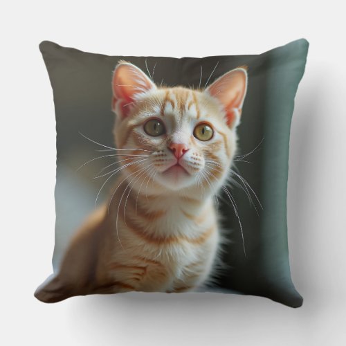 cute cat cushion