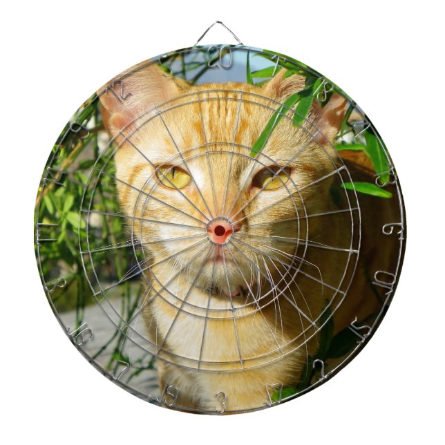 Cute Cat Dartboard! Dart Board (Front)