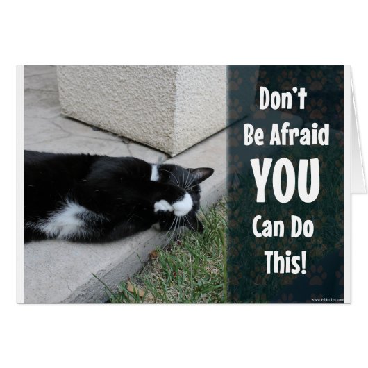 Cute Cat Do Not Be Afraid Cards (Front Horizontal)