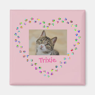 Cute Cat Dog Paw Prints Heart Photo Magnet