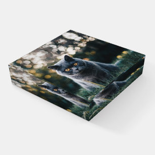 Cute Cat Dog Your Pet Keepsake Memorial Paperweight