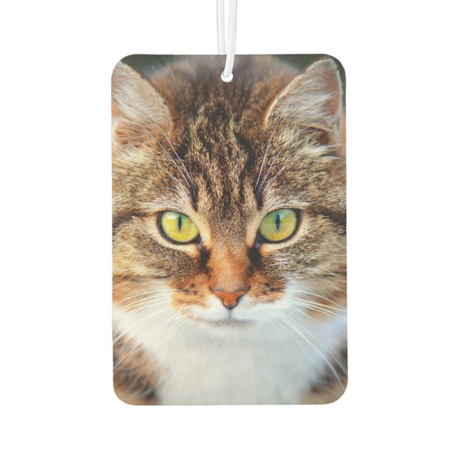 Cute cat eyes air freshener (Back)