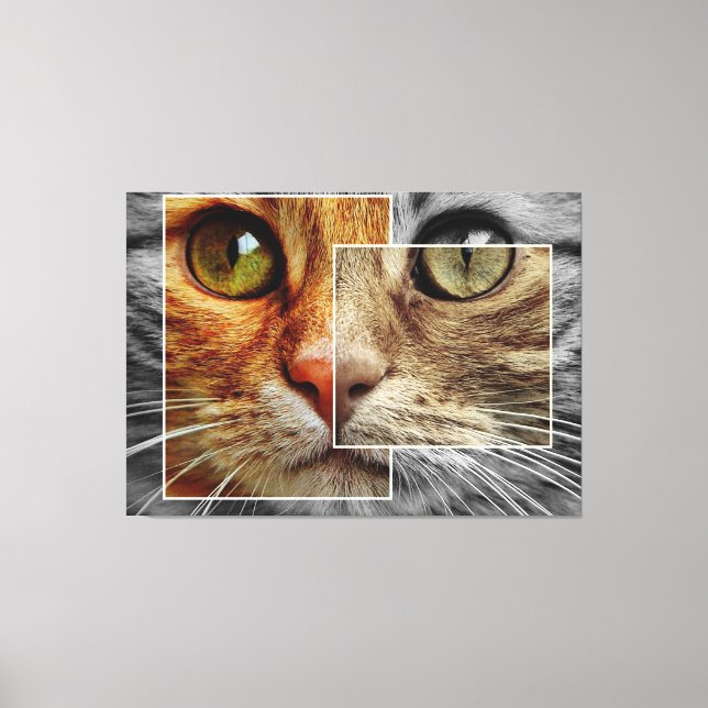 Cute Cat Face Collage Canvas Print (Front)