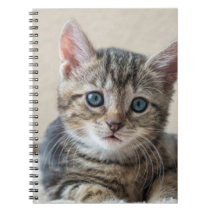 Cute Cat Face Notebook