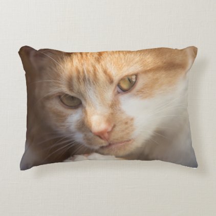 Cute Cat Face on a Accent Pillow