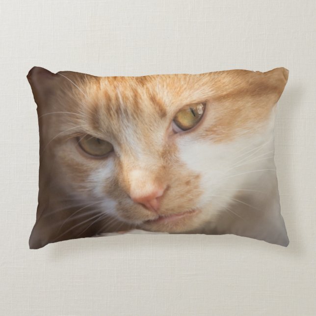 Cute Cat Face on a Accent Pillow (Front)