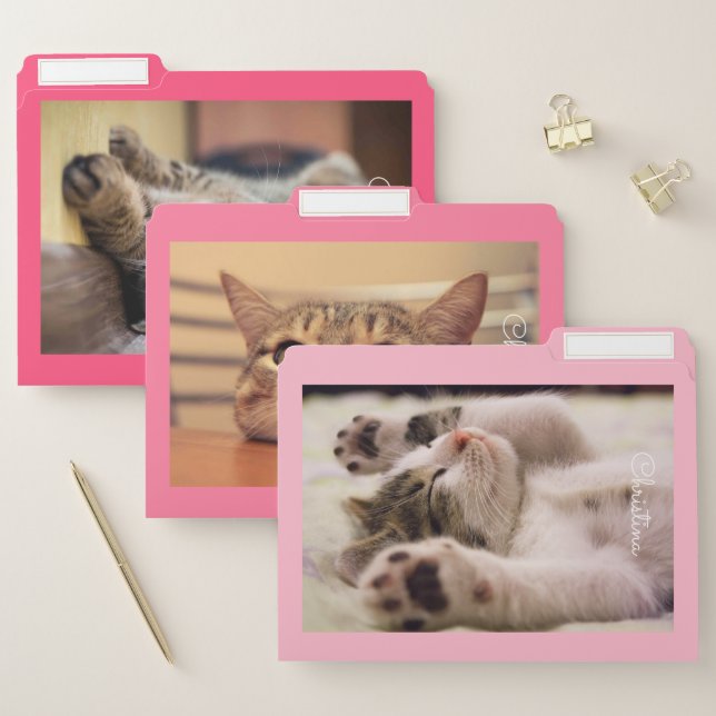 Cute Cat File Folder (Set)