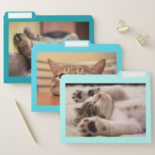 Cute Cat File Folder