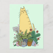 Cute Cat Florist Postcard