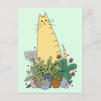 Cute Cat Florist Postcard