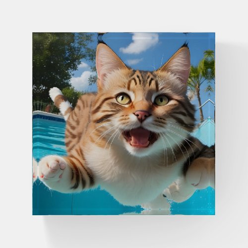 Cute Cat Flying Swimming Diving in Pool Funny Paperweight