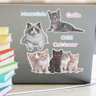 Cute cat fun and silly cat lover sticker