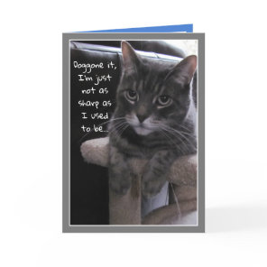 Cute Cat Funny Belated Birthday Card