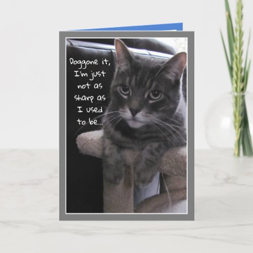 Cute Cat Funny Belated Birthday Card