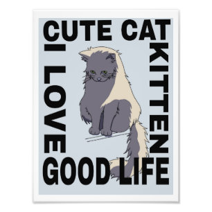 Cute cat good life photo print
