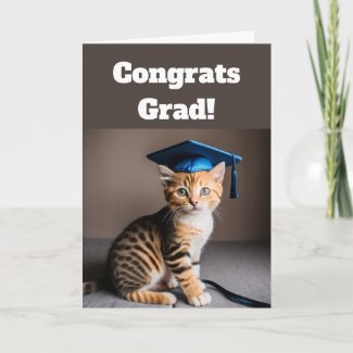 Cute Cat Graduation 