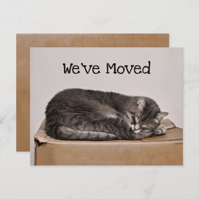 Cute Cat Gray Sleeping On Box Moving Card (Front/Back)