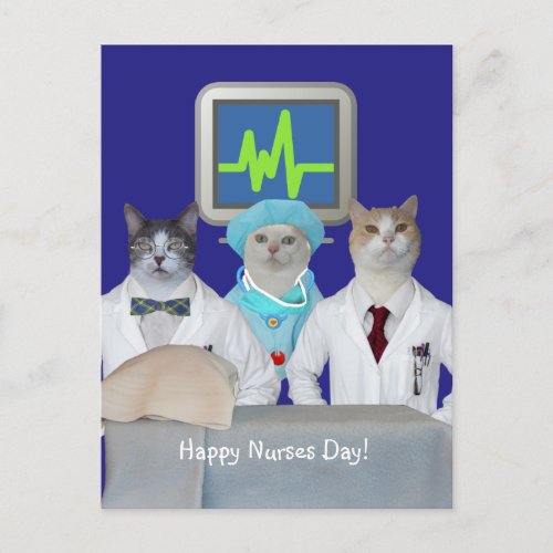 Cute Cat Happy Nurses Day Postcard