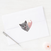 Cute cat 
