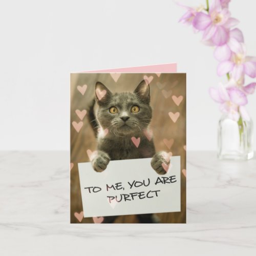 Cute Cat  Hearts You are Purfect Card