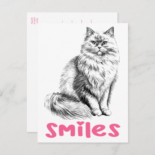 Cute Cat Hello Smiles Kitten Thinking of You Love Postcard