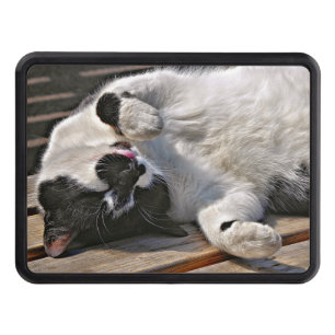CUTE CAT HITCH COVER