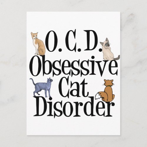 Cute Cat Humor Postcard
