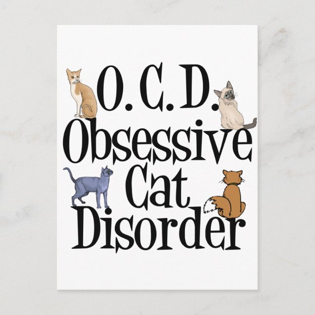 Cute Cat Humor Postcard (Front)