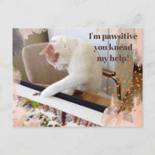 Cute Cat "I'm pawsitive you knead my help" Postcard