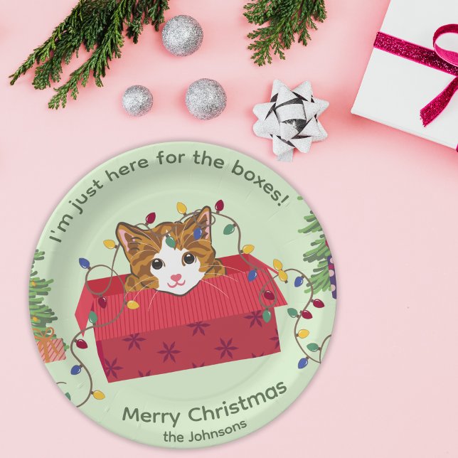 Cute Cat in a Box Here for the Boxes Christmas Paper Plates (Creator Uploaded)